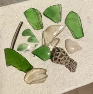 A Wild Dive Week I Never Expected in Barbados