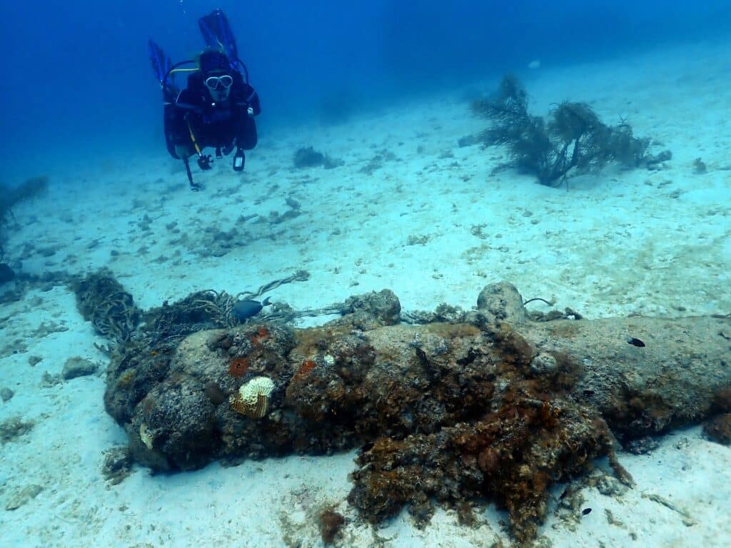 A Wild Dive Week I Never Expected in Barbados