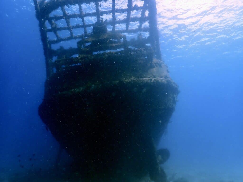A Wild Dive Week I Never Expected in Barbados