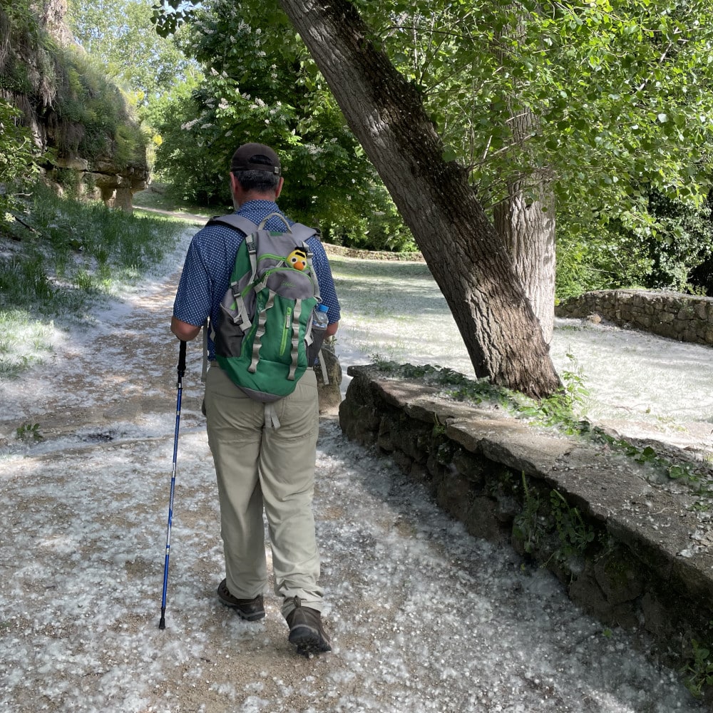 Philip walking along a shaded path near the Alcázar of Segovia using a cane, carrying a backpack on a quiet trail.